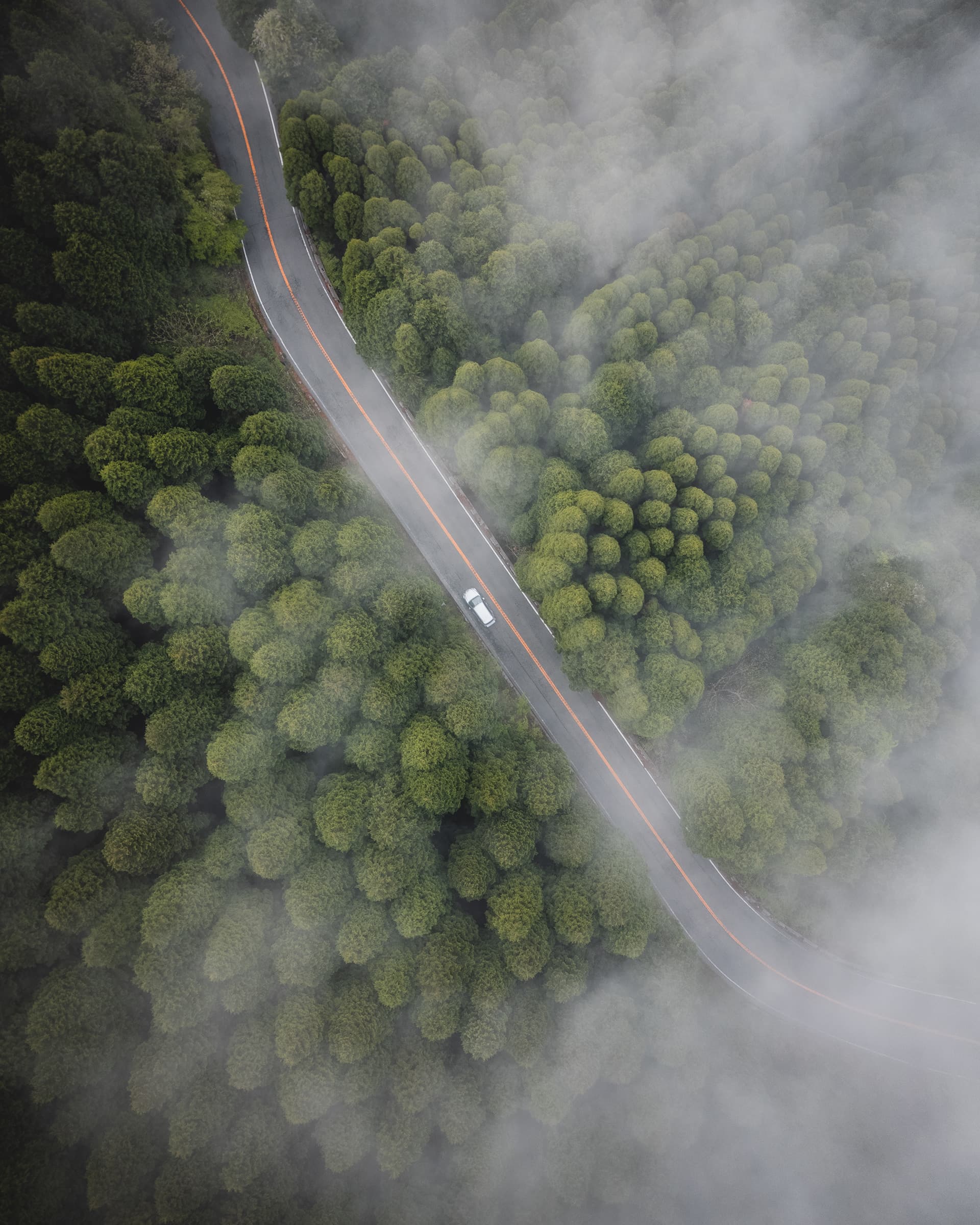 空撮写真