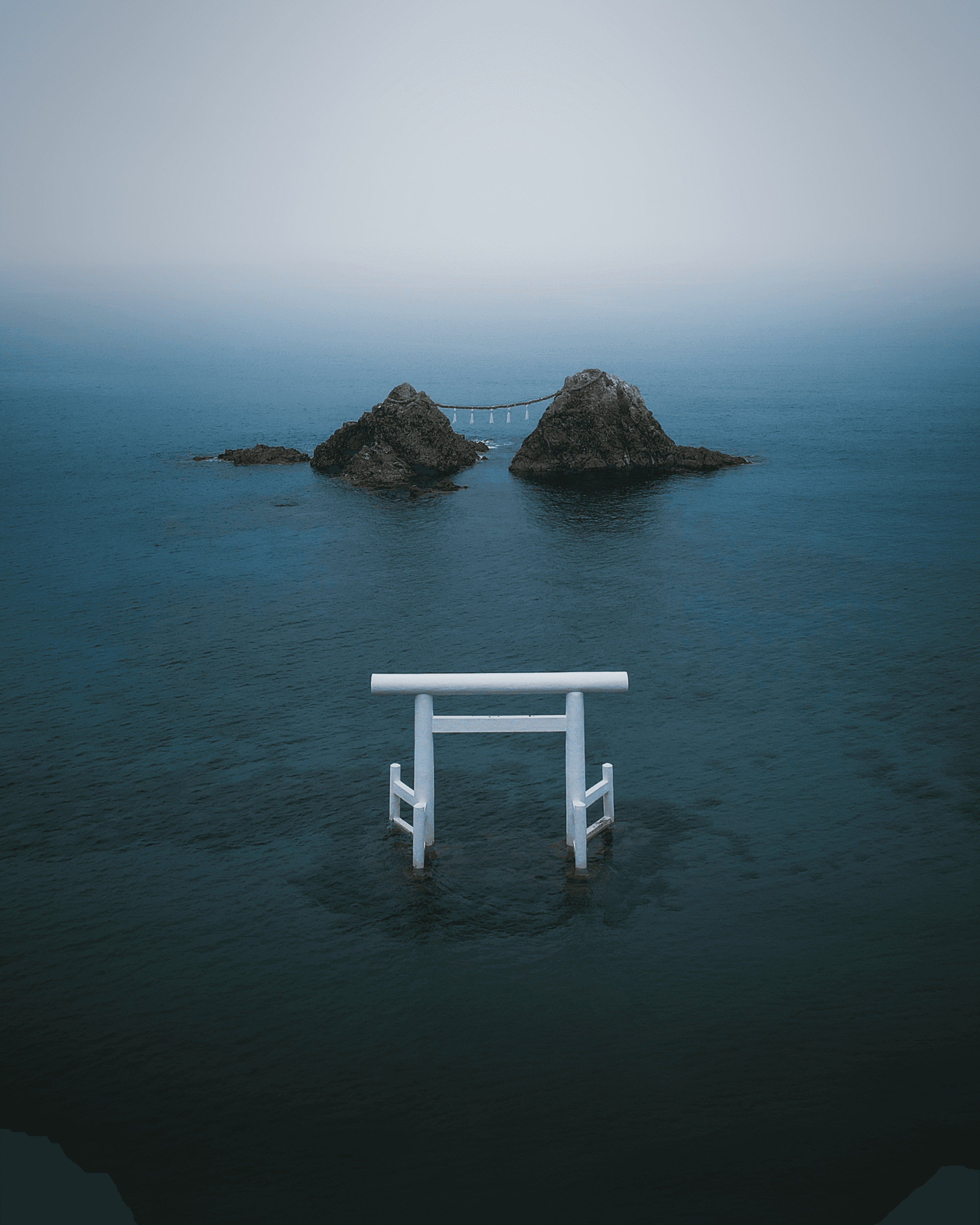 空撮写真