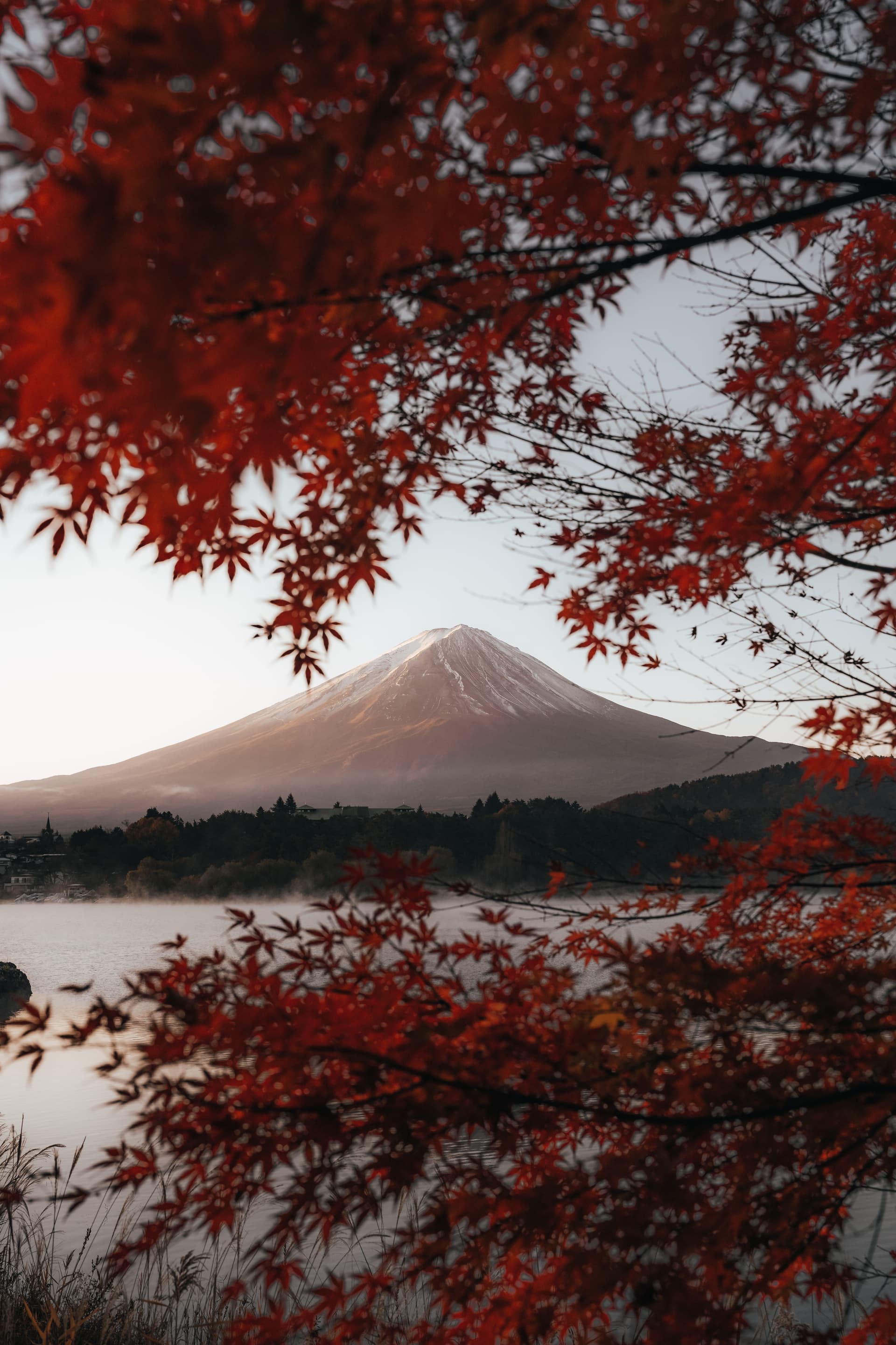 風景写真