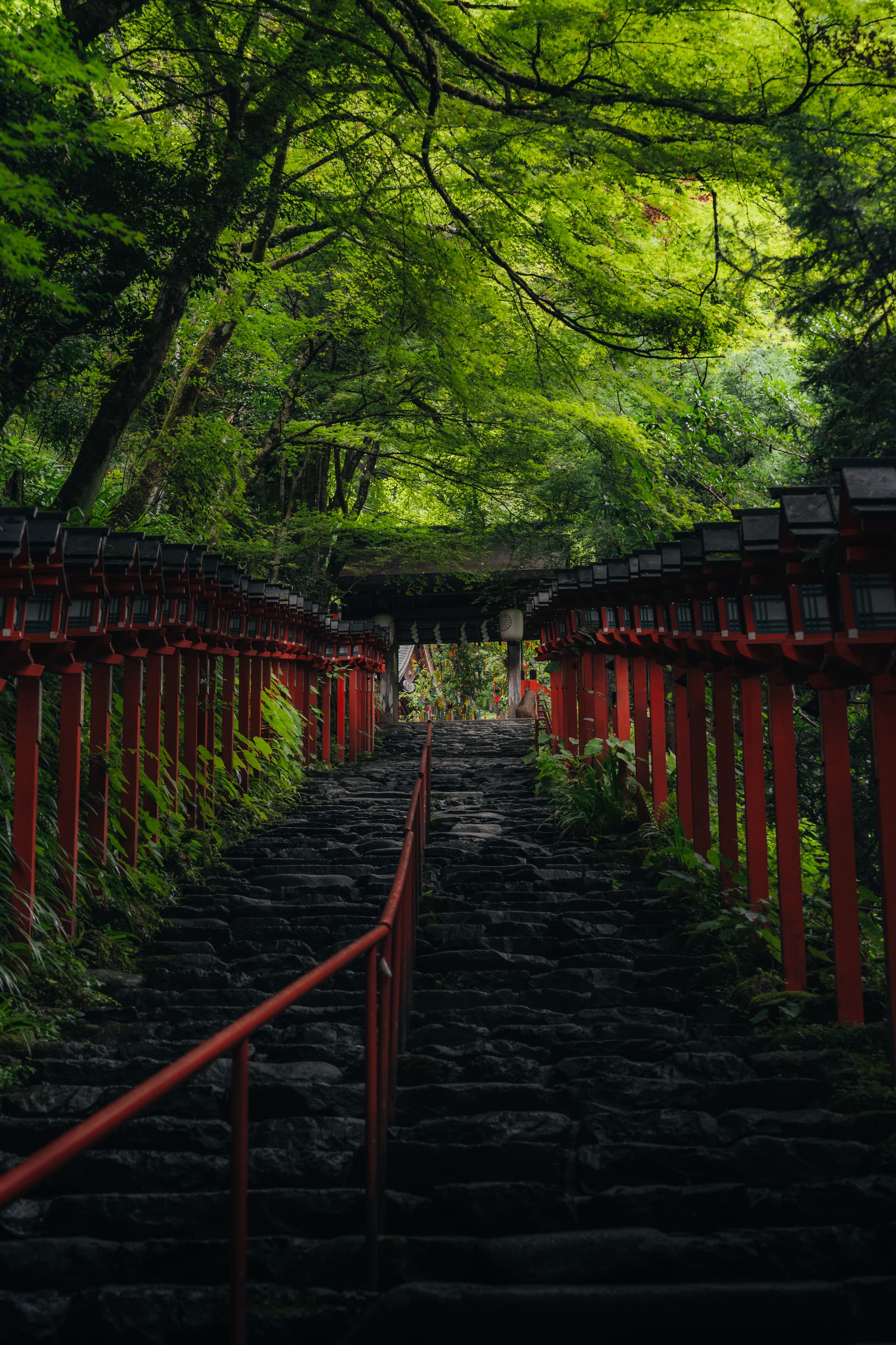 風景写真