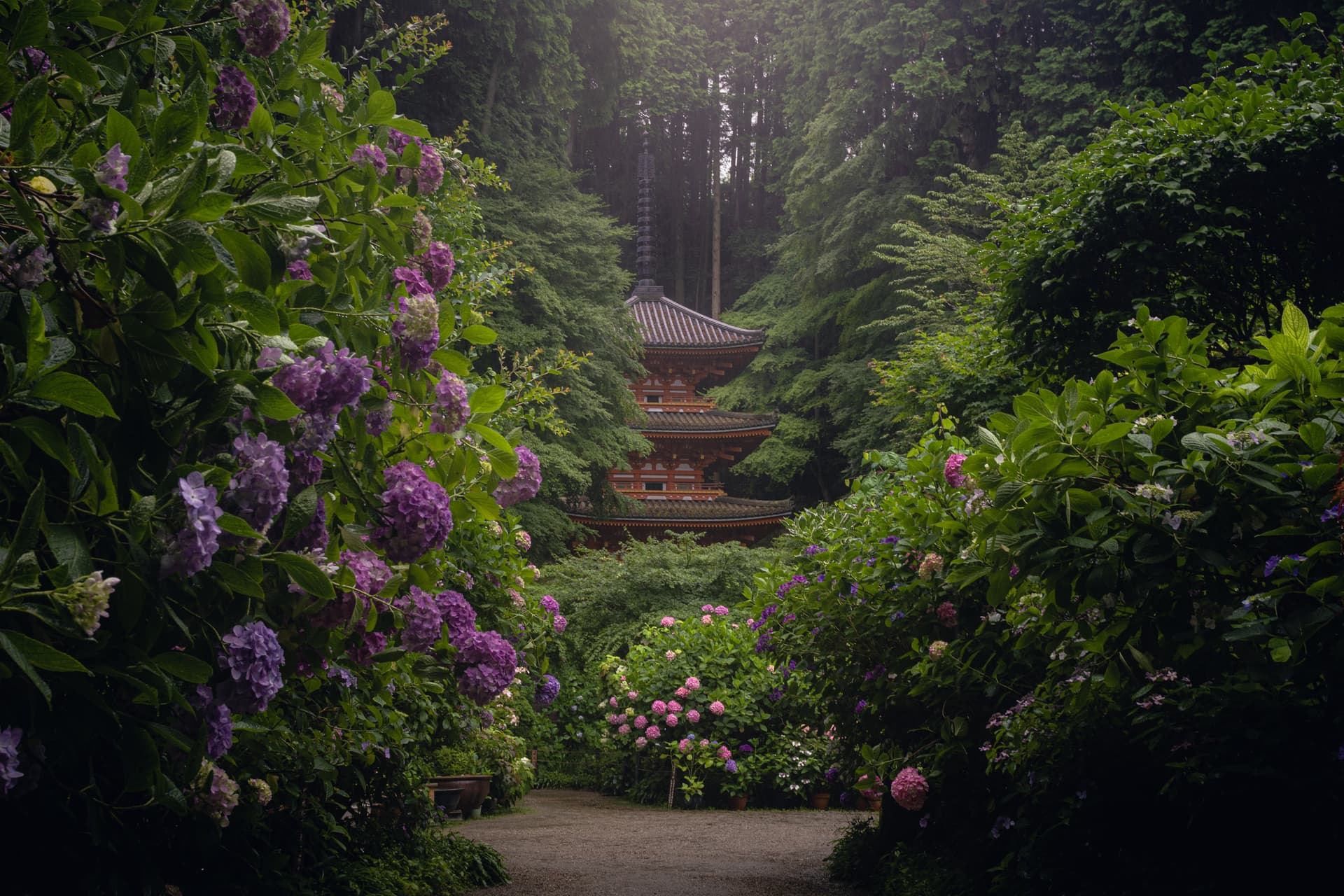 風景